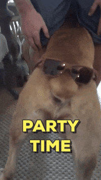 party11.gif