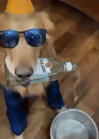 party12.gif