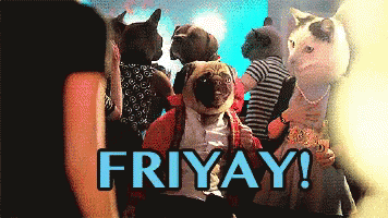 party18.gif