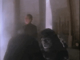 PrestigiousHauntingDunlin-max-1mb.gif