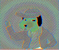 pscy76.gif