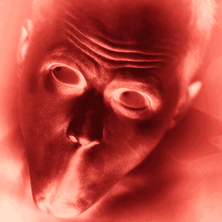 psyc137.gif