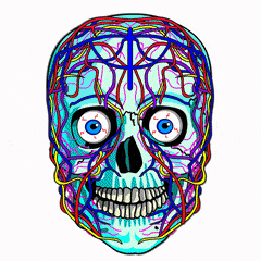 psyc24.gif