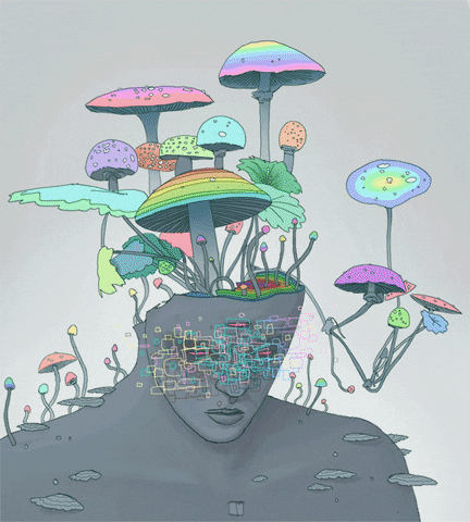 psyc6.gif