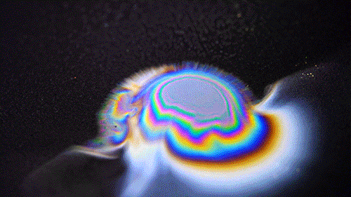 psyc67.gif