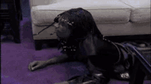 rj04.gif