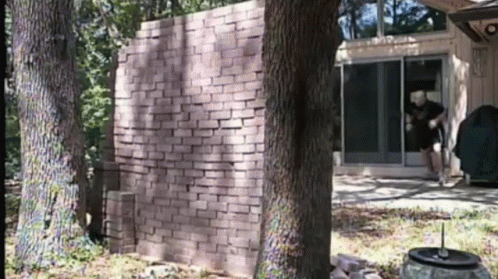 run thru wall.gif