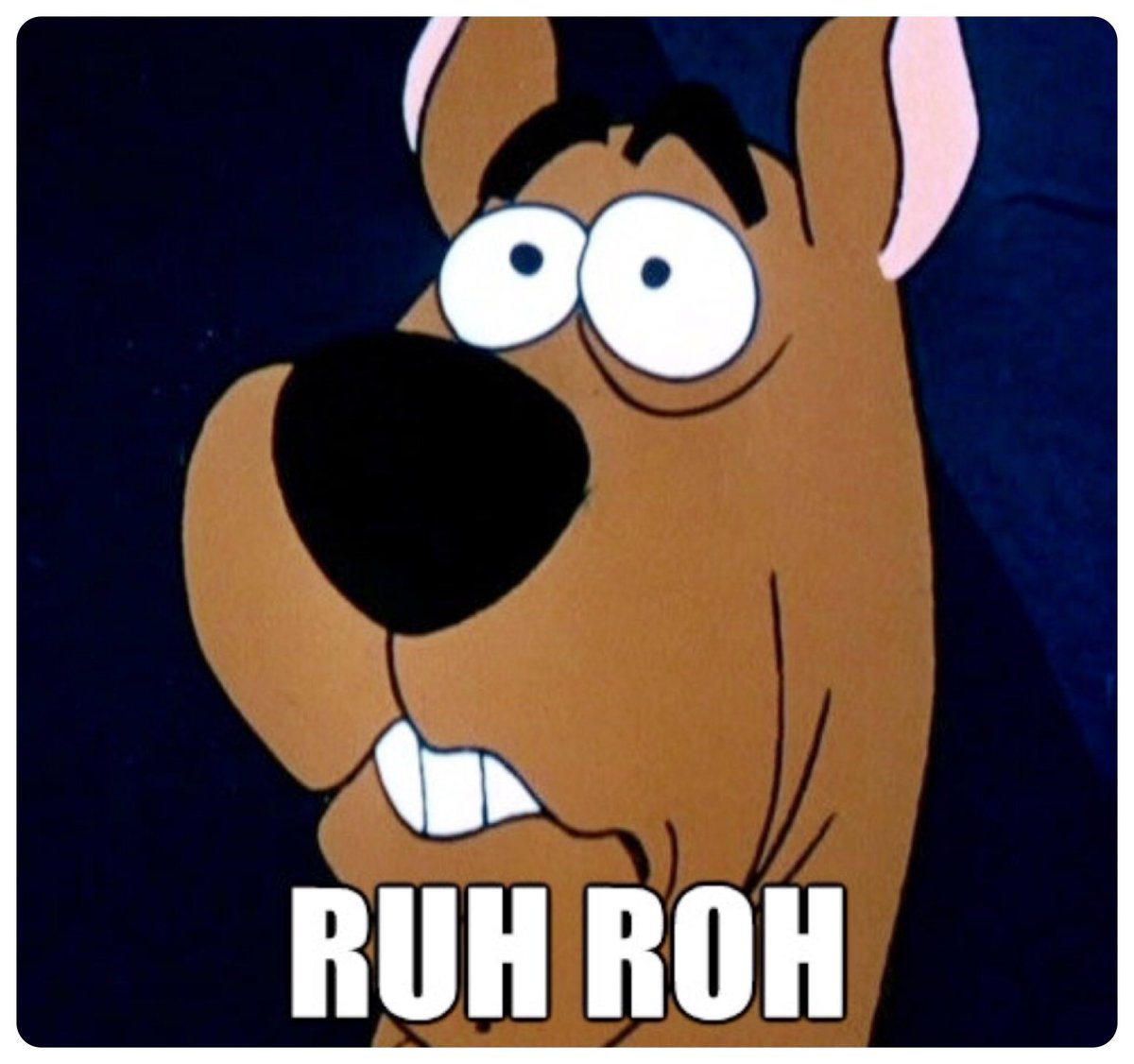 scooby doo ruh roh.jpg