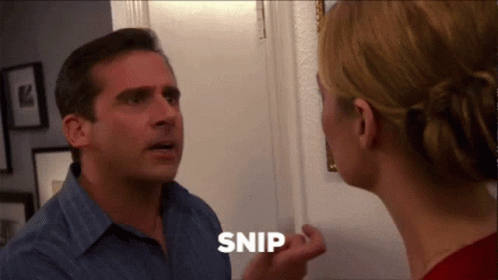 snip-snap-the-office (1).gif