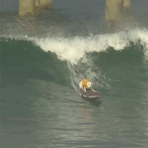 spot01.gif
