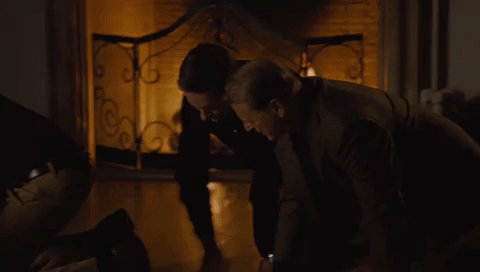 Succession_2.gif