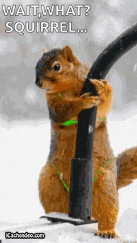 tenor (41).gif