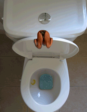 toiletdiving.gif