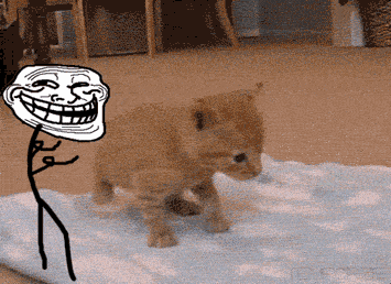 troll11.gif
