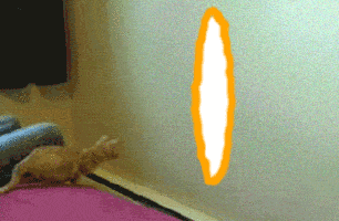tumblr_naxorcMKLw1ri8owpo3_400.gif