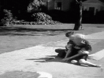 tz09.gif