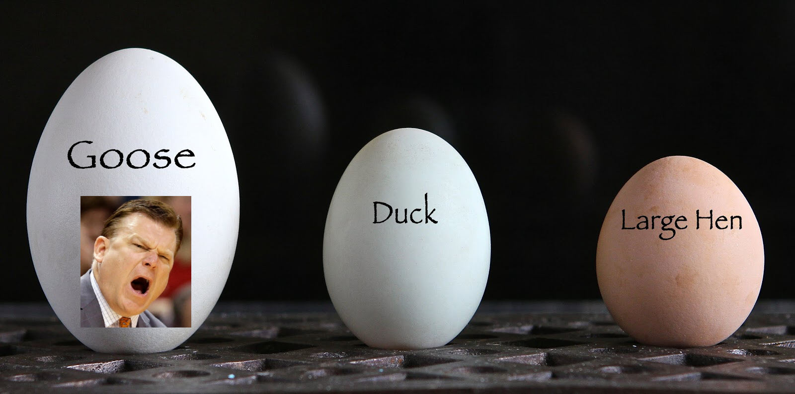 Wait Till Spring.jpg