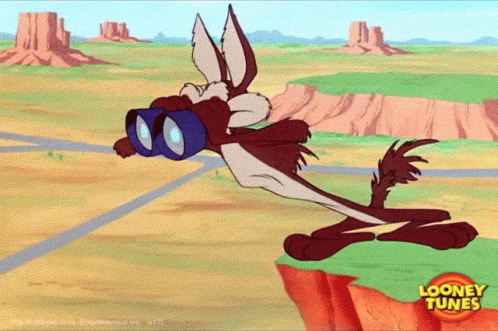 Wlie E Coyote Binoculars.gif