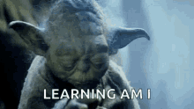 yoda01.gif