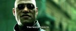 matrix.jpg