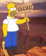 homer_simpson_d_oh__by_sethmendozada_da45984-414w-2x.jpg