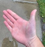 Wrist Photo.jpg