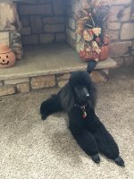 IMG_7610.jpeg