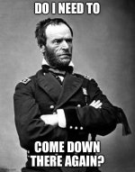 Sherman is not impressed.jpeg