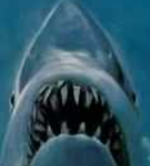 ajaws.PNG