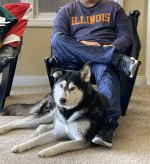 TMD & Houston (425) Edit 2.0.jpg