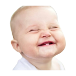1774708509635.png
