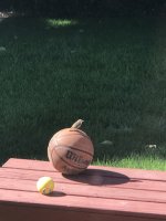 079ADC49-55C0-48A0-9113-AA7E270F9FC7.jpeg