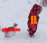 cxgbhdxh.gif