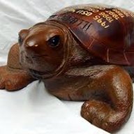 IlliniInBuckeyeState