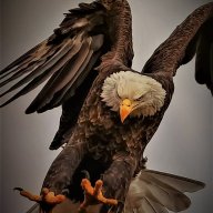 Power