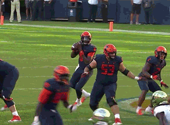 il-usf-17.gif